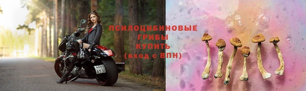 MESCALINE Гусев