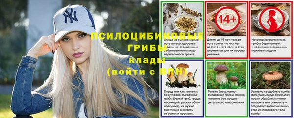 спиды Балахна