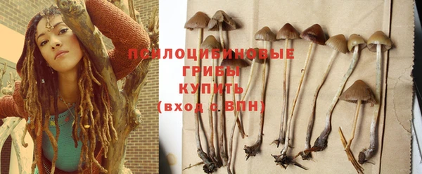 МДПВ Гусь-Хрустальный